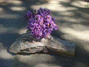 STUMP VASE